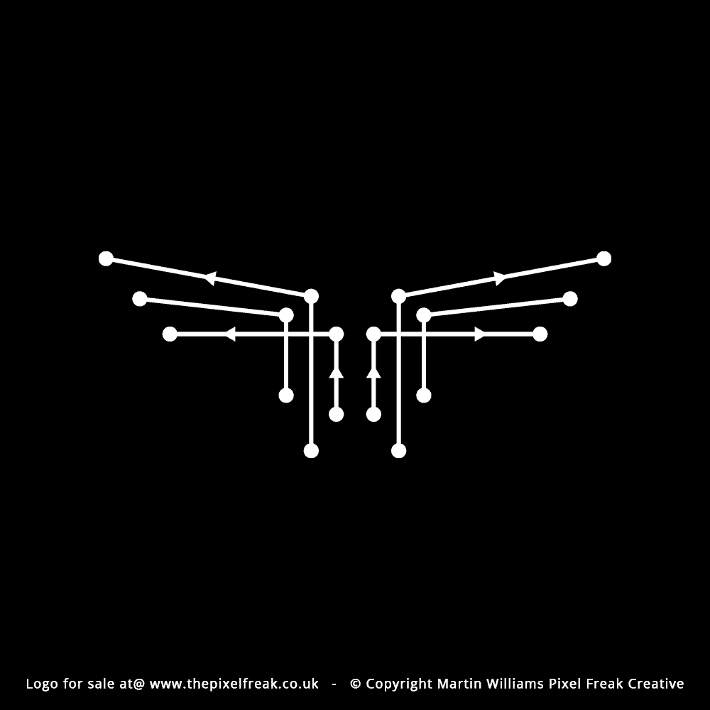 Abstract Wings Logo Design