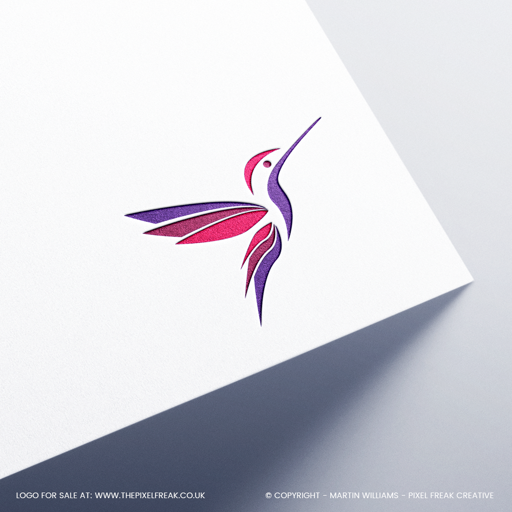 logo concepts featuring a hummingbird