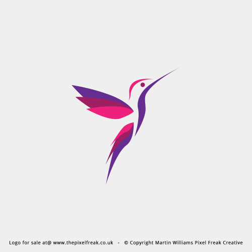 Colourful Bird Logo Design